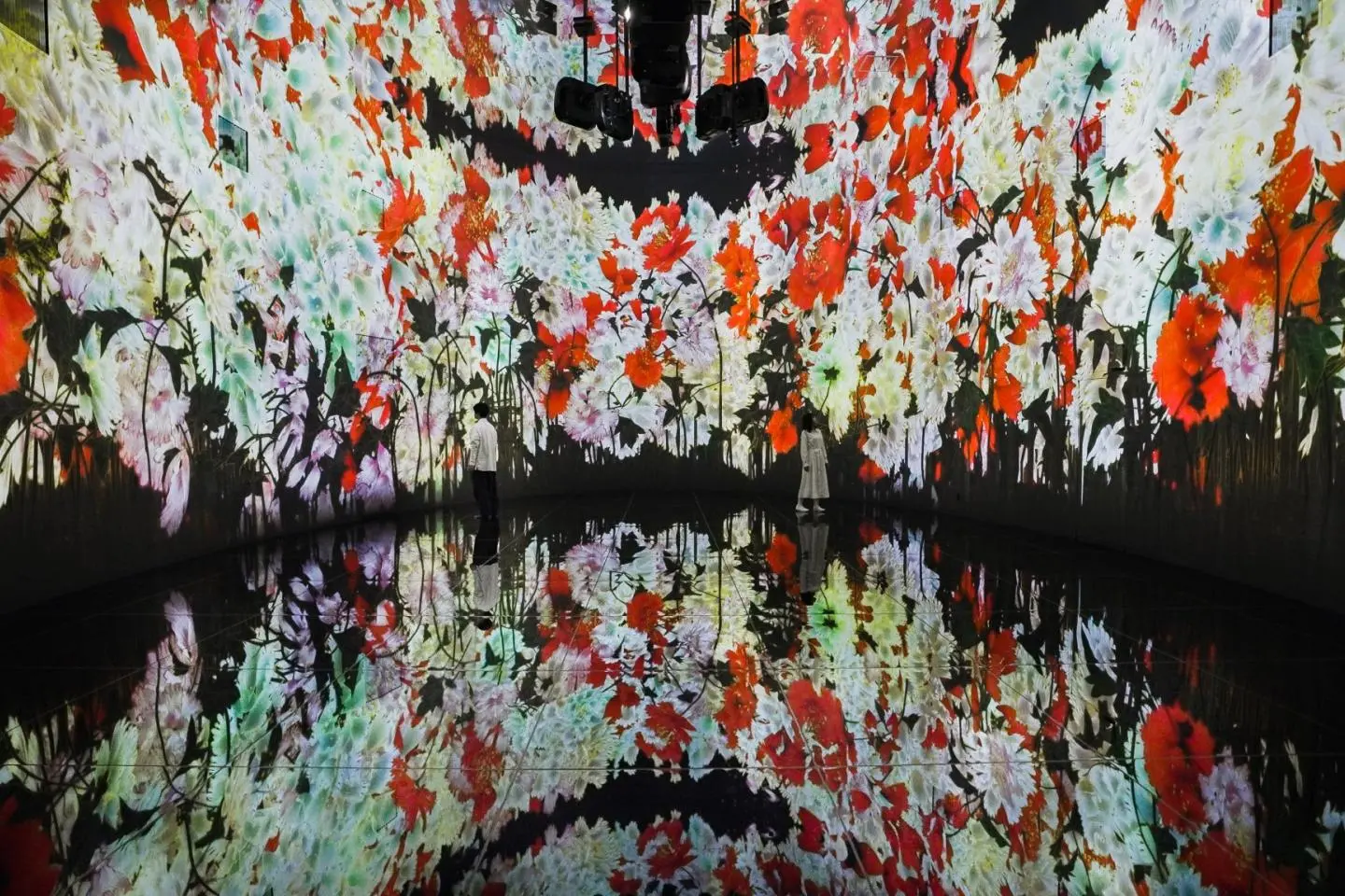 Photo: TeamLab