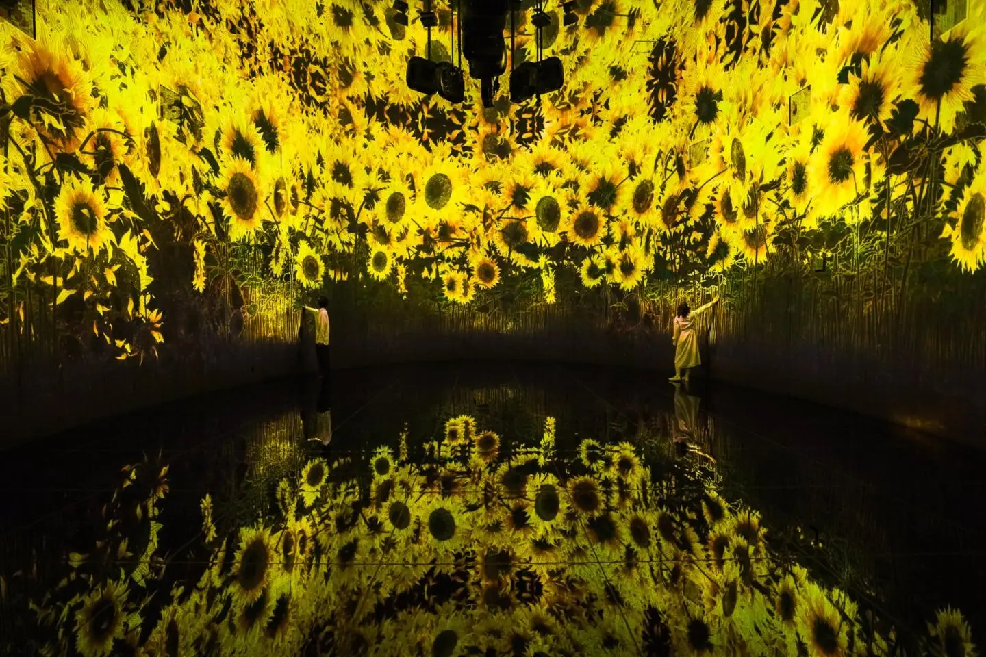 Photo: TeamLab