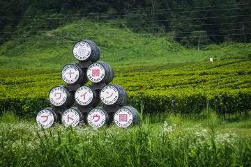 Hokkaido Named on Top Wine Destinations List