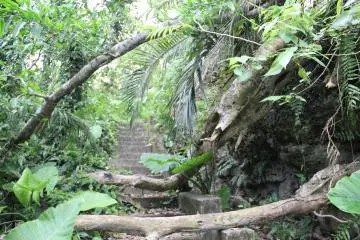 <p>The city clears the brush and fallen trees a few times each year, but there will likely be a few obstacles in your way</p>