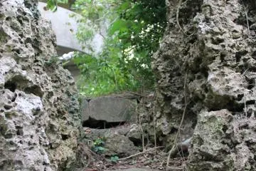 <p>This area immediately before these steps must be crawled</p>