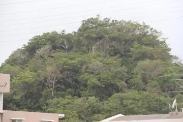<p>This lone wooded hilltop is your destination</p>