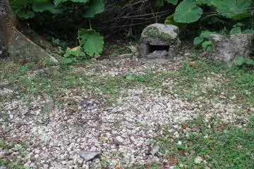 <p>This area looks like it was used relatively recently</p>