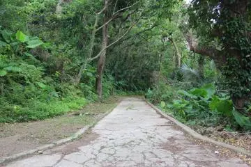<p>This is the footpath that leads to the observation post at the top of the hill</p>