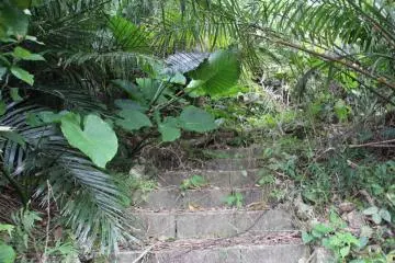 <p>Some of the trails lead to areas reserved only for the brave</p>