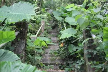 <p>These steps are starting to crumble</p>