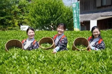 Photo: Tamba Sasayama City