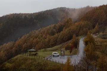 A view of the parking lot next to the tower. 