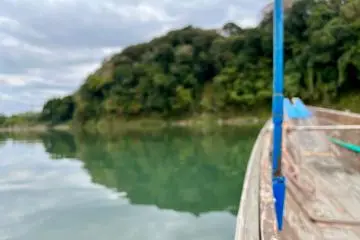 Setting course for the Ayu and the White Egret