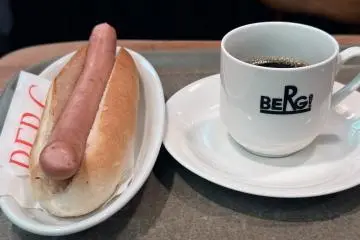 The special is their hot dog which is best eaten plain
