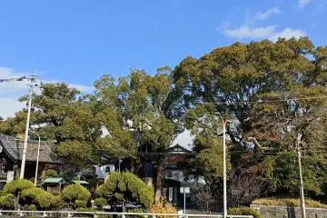Bairinji  