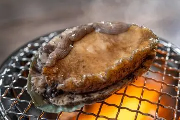 Abalone