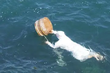 Ama diving demonstration at Mikimoto Pearl Island