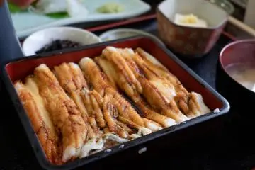 Grilled conger eel over a bed of rice
