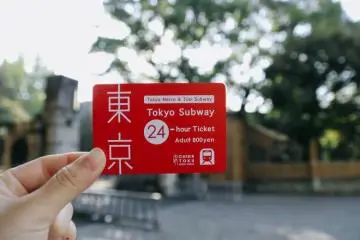 24-hour ticket