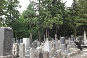<p>Sometimes the graves are spread out, sometimes packed tightly together</p>