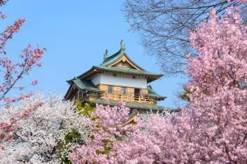 Takashima Castle in Nagano (Photo: Scirocco340 / Shutterstock.com)