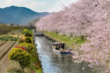 Photo: Joshua Daniel / Shutterstock.com