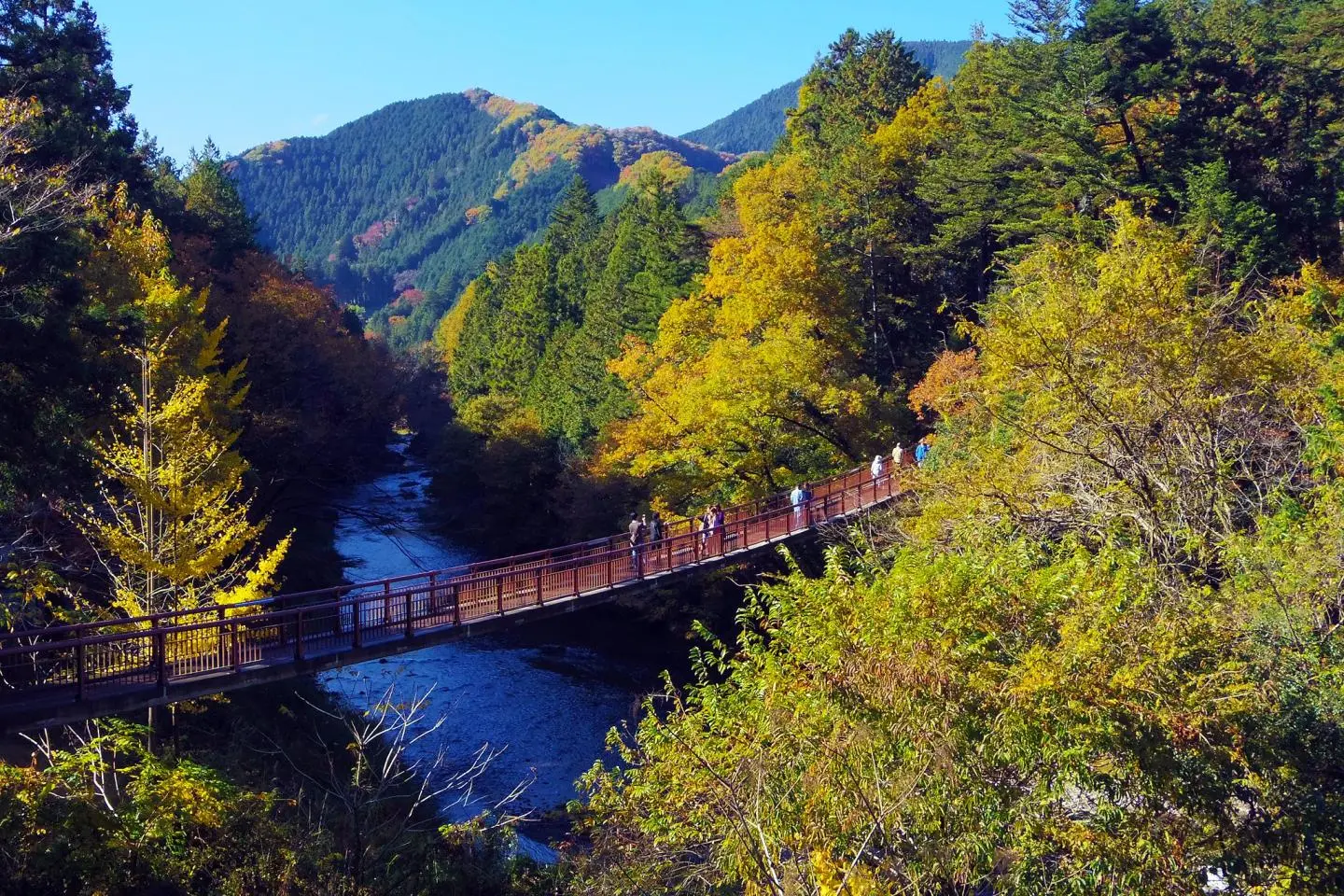 Tokyo has many facets, not just cityscapes - this is the Akigawa Valley (Photo: Hiroaki Kaneko / CC BY-SA 2.0)