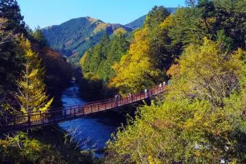 Tokyo has many facets, not just cityscapes - this is the Akigawa Valley (Photo: <a href="https://commons.wikimedia.org/wiki/File:Akigawa_River_in_the_autumn.jpg" target="_blank" rel="noreferrer noopener nofollow">Hiroaki Kaneko</a> / <a href="https://creativecommons.org/licenses/by-sa/2.0/" target="_blank" rel="noreferrer noopener nofollow">CC BY-SA 2.0</a>)