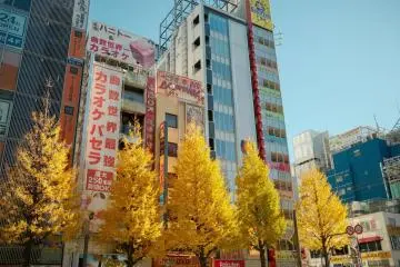 Autumn in Tokyo (Photo: <a href="https://www.pexels.com/photo/vibrant-autumn-in-tokyo-s-urban-streets-31606432/" target="_blank" rel="noreferrer noopener nofollow">Shashank Brahmavar</a> / Pexels)