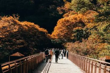 Autumn in Gunma (Photo: <a href="https://unsplash.com/photos/people-walking-on-gray-concrete-bridge-between-trees-during-daytime-JZJ98Bvo2Hw" target="_blank" rel="noreferrer noopener nofollow">Kishor</a> / Unsplash)
