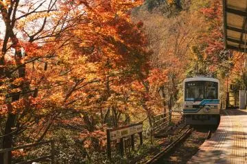 Autumn in Kyoto (Photo: <a href="https://unsplash.com/photos/blue-train-in-the-middle-of-the-forest-0q9YhC5oZbY" target="_blank" rel="noreferrer noopener nofollow">Bbb xzh</a> / Unsplash)