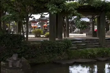 Many Shinto shrines are places of intense calm with beautiful gardens.