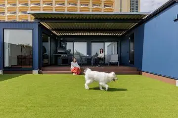 Dog-friendly room