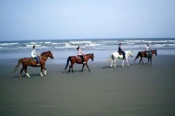 Horseback riding on Kujukuri Beach