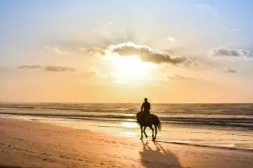 Horseback riding on Kujukuri Beach