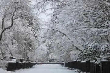 Kakunodate Samurai District during winter