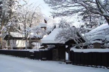 A stunning contrast of white and black