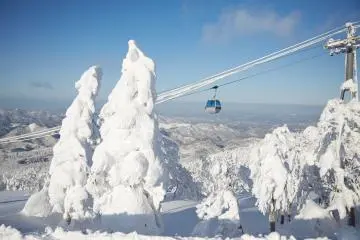 Cable car across the resort