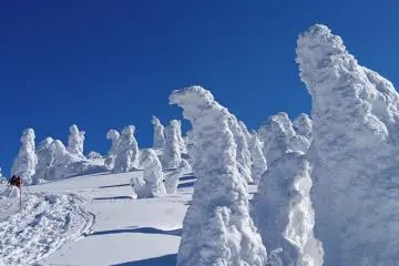 Snow monsters