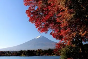 Photo: <a href="https://commons.wikimedia.org/wiki/File:Autumn_leaf_color_and_Mount_Fuji_from_Lake_Kawaguchi.jpg" target="_blank" rel="noreferrer noopener nofollow">Alpsdake</a> / <a href="https://creativecommons.org/licenses/by-sa/4.0/deed.en" target="_blank" rel="noreferrer noopener nofollow">CC BY-SA 4.0</a>