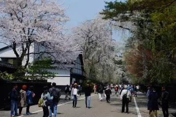 5 Alternatives to Kyoto's Hotspots in Akita