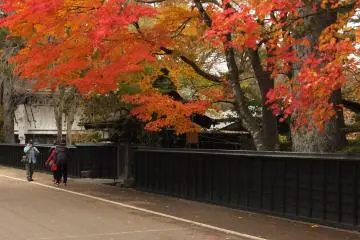 The charming streets of Kakunodate are often likened to a "little Kyoto"   (Photo: <a href="https://commons.wikimedia.org/wiki/File:Gate_of_Aoyagi_Samurai_House_20161106b.jpg" target="_blank" rel="noreferrer noopener nofollow">掬茶</a> / <a href="https://creativecommons.org/licenses/by-sa/4.0/deed.en" target="_blank" rel="noreferrer noopener nofollow">CC BY-SA 4.0</a>)