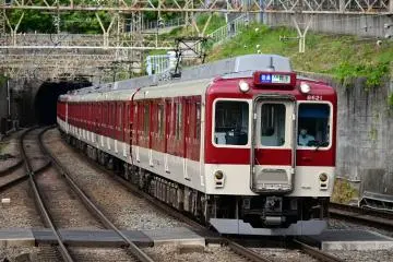 Transit Guide: Osaka Amazing Pass