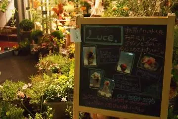 ร้านดอกไม้ในไดคันยามะจะร่วมชมไดคันยามะที่ทั้งสวยงามและอันตราย