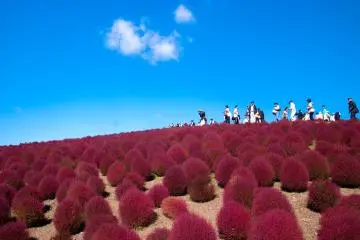 Photo: <a href="https://www.flickr.com/photos/sinn/5109111693/" target="_blank" rel="noreferrer noopener nofollow">Shin K</a> / <a href="https://creativecommons.org/licenses/by-nc-sa/2.0/" target="_blank" rel="noreferrer noopener nofollow">CC BY-NC-SA 2.0</a>