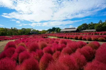 Photo: 一般財団法人 公園財団 Parks Japan.F