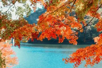 Usui Lake in Gunma Prefecture (Photo: <a href="https://unsplash.com/photos/brown-and-yellow-leaves-tree-near-body-of-water-during-daytime-VW2vRZVYILI" target="_blank" rel="noreferrer noopener nofollow">Kishor</a>)