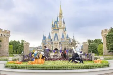 Photo: Tokyo Disney Resort