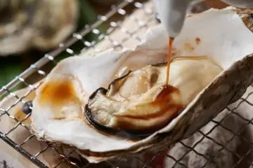 Sakoshi oysters