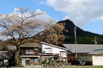 Eryo-san from below