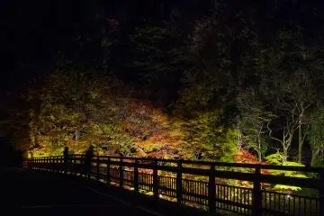 Sukeemonsa after dark