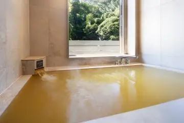 Premium Japanese-Western room with semi-open-air hot spring bath