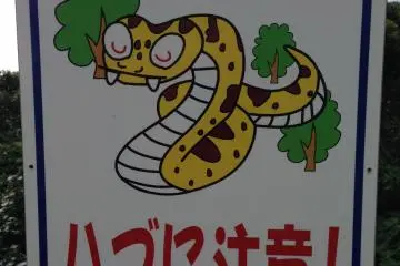 <p>The beware of Habu signs are isolated to the guard rails along the wooded lower portion of the park</p>