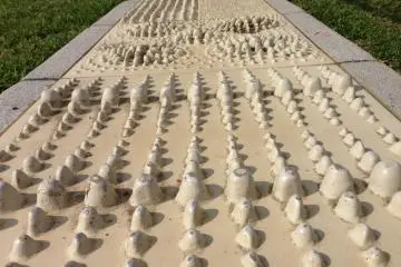 <p>There are exercise stations throughout the park; this one is meant to be stepped on while bare foot to treat and diagnose ailments</p>